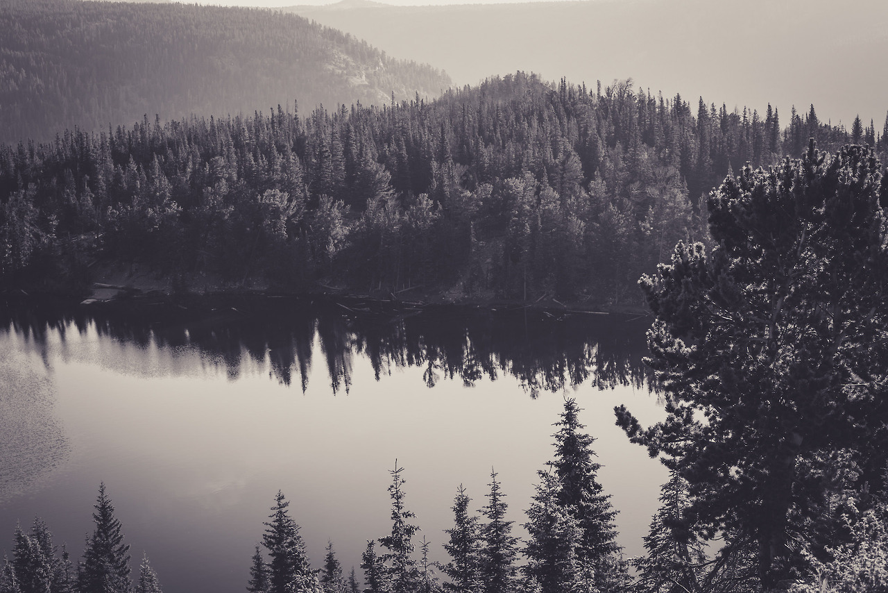 Copy: unsplash.com
